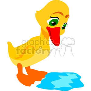 Little duck looking at a puddle of water