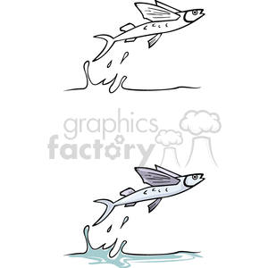 Flying fish out of water