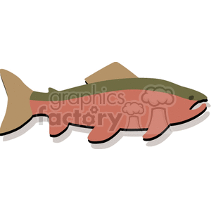 Colorful Freshwater Fish – Lake Animal