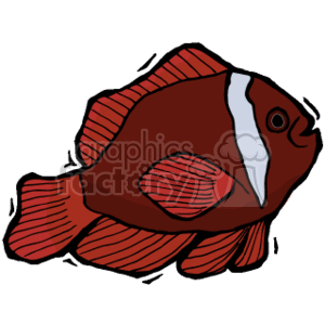   The clipart image depicts a stylized tropical fish. It features a fish with a prominent body and fins, rendered in shades of red with white and grey accents on its face and body. This kind of image might be used for educational materials, children