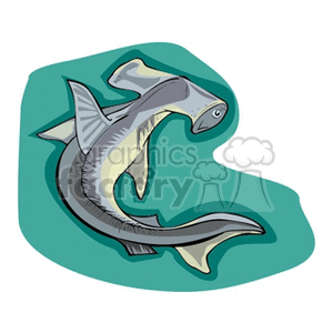 Cartoon Hammerhead Shark - Marine Life