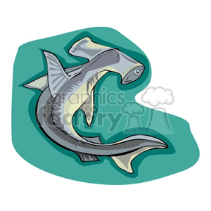 The image is a clipart illustration of a hammerhead shark. The shark is depicted in a simplistic, cartoonish style with a prominent head shape that resembles a hammer, which is characteristic of hammerhead sharks. The shark is shown in a slightly curved position against a background that suggests an underwater environment.