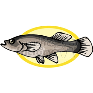 fish146