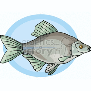 The clipart image displays a cartoon representation of a fish. The fish is primarily gray with lighter shaded fins and a pale underbelly. It has a noticeable eye and a slightly open mouth, and it's set against a blue circular backdrop that could represent water.