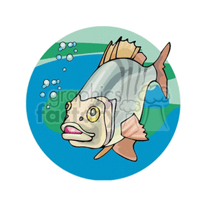 The image is a cartoonish clipart of a fish. The fish is colored with various shades of gray and pink on its fins. It has a round eye, an open mouth, and is shown with bubbles indicating it is underwater.