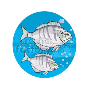 The clipart image depicts two stylized fish with prominent stripes, swimming underwater. There are also bubbles around the fish, enhancing the underwater feel.