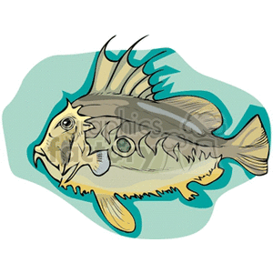 The image is a stylized illustration of a tropical fish. It is depicted with pronounced fins and markings, suggesting it is an exotic species, similar in style to that seen in tropical reef environments.