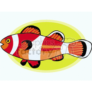 The clipart image features a cartoon representation of a tropical fish with a distinctive pattern. The fish has a prominent white body with three broad, red bands interspersed with thinner white spaces. Its fins are highlighted in red and black, and it has a yellow eye with a black pupil. The background has a simple oval gradient of a light yellow and white, giving the appearance of a glow around the fish, which is typical for illustrations to indicate an aquatic or bright environment.