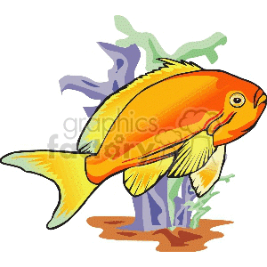 The clipart image depicts a colorful goldfish with shades of orange and yellow. The fish is swimming in front of a backdrop of green aquatic plants and blue-purple water.