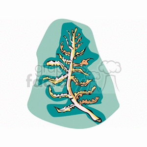 Illustration of Tropical Seaweed or Coral