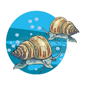 Underwater Snails