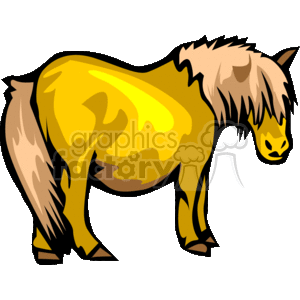 Simple brown pony