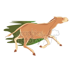 The clipart image features a stylized illustration of a running horse with a grassy background.