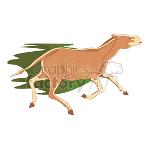 Stylized Running Horse