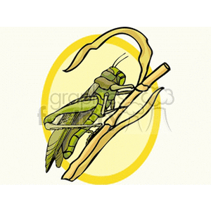 An illustration of a green grasshopper on a brown twig with a yellow oval background.