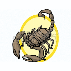The clipart image features a stylized illustration of a scorpion with a prominent tail, pincers, and segmented body on a yellow circular background.