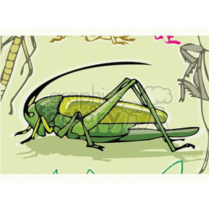 A colorful clipart image of a green grasshopper with a prominent back leg and antennae, set against a simple background with partial illustrations of other insects.