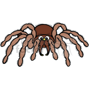   The image is a cartoon representation of a spider, which resembles a tarantula. It