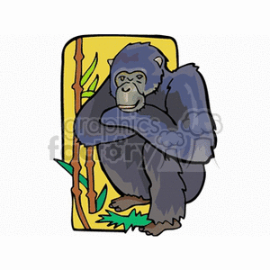Illustration of a gorilla sitting with arms crossed against a yellow background with bamboo and leaves