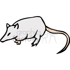 This image is a simple side on representation of a gray opossum