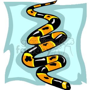 Black and yellow snake