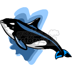 The clipart image depicts an orca, also known as a killer whale, characterized by its distinctive black and white coloring. The background features abstract blue shapes that evoke the feeling of water.