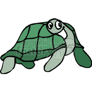 Smiling funny green turtle