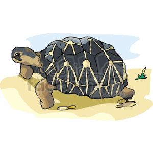 The image is a clipart illustration of a turtle on sandy ground. It features a sizable turtle with a distinct, patterned shell and a small portion of vegetation in the background, possibly suggesting a natural, outdoor setting.