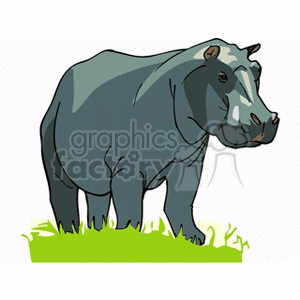 A clipart image of a hippopotamus standing on green grass.