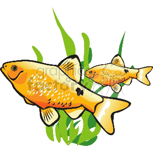Clipart image of two goldfish swimming among green aquatic plants.