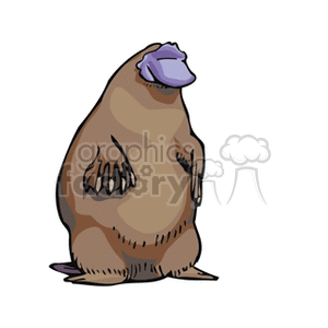 Large  platypus standing upright smiling