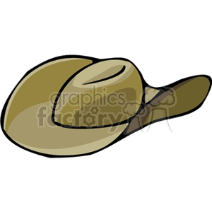 Brown Cowboy Hat