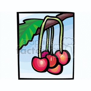 A clipart image of cherries hanging from a branch with a leaf.