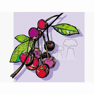 Colorful clipart illustration of cherries with leaves on a light purple background.