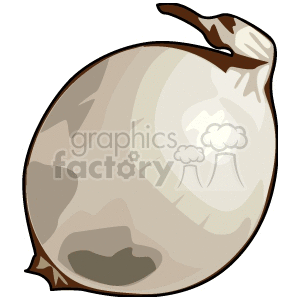Clipart image of a large, rounded onion with a rough, brown exterior.