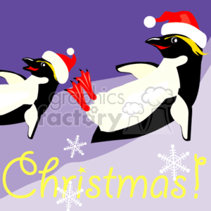   The clipart image features two cartoon-style penguins, both adorned with Santa hats, implying a festive, holiday theme. The background is purple, and there are snowflakes scattered around, enhancing the winter holiday feel. Both of the penguins appear to be sliding down a hillside. The word Christmas! is written in a joyful script at the bottom, adding to the festive Christmas ambiance of the image. 