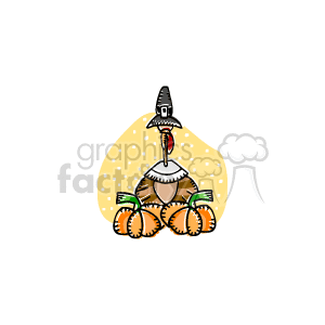 The clipart image depicts a turkey wearing a pilgrim hat, surrounded by pumpkins. The turkey appears to be designed in a cute and stylized manner, typical of holiday decorations and greeting cards. The use of pumpkins and a pilgrim hat suggests a theme related to the Thanksgiving holidays.