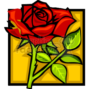 The image is a stylized clipart of a red rose with a stem, leaves, and thorns. The rose is depicted in full bloom and has a yellowish background that appears to be a geometrically patterned rectangle.