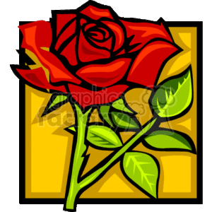 Valentine's Day Red Rose Image