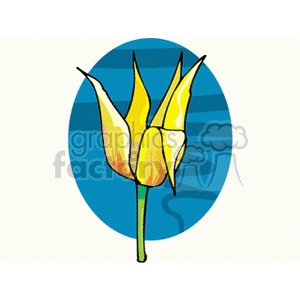 A vibrant yellow flower with pointed petals against a blue circular background.