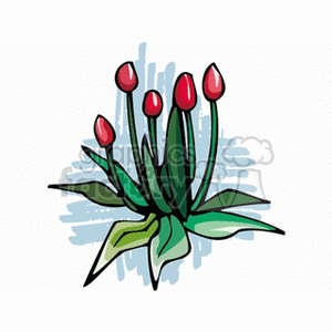 Stylized Red Flower Buds