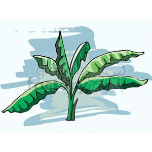 Illustration of a green leafy plant with multiple leaves on a simple background.