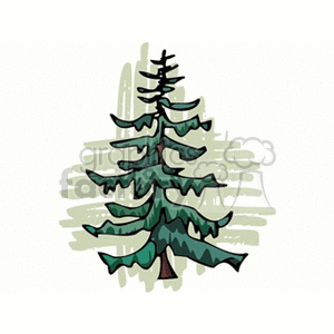 A clipart image of a stylized pine tree with layered branches, set against a simple textured background.