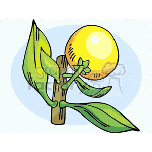 Lemon Tree with Leaves