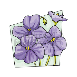 A clipart image of purple flowers with yellow centers against a light background.