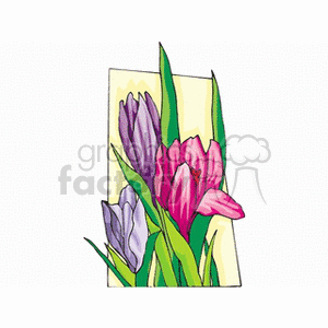 A colorful clipart image of pink and purple flowers with green leaves.