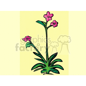 Illustration of pink flowers with green leaves on a yellow background.