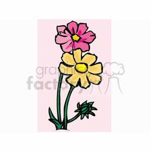 Clipart image of two colorful flowers with green stems and leaves.