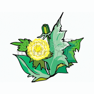 A colorful clipart image of a dandelion with green leaves and a yellow flower.