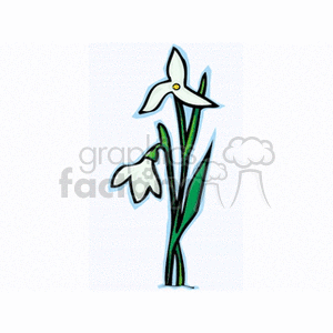 Clipart of two stylized white flowers with green stems and leaves.